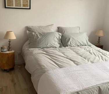 Pace House | maison de charme avec jardin,pacé,proche de Rennes