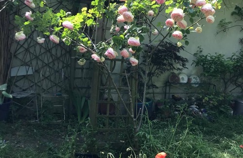 Saint-Denis House | Maison de Ville Calme Avec Jardin et Patio Pour Jusqu' à 9 Personnes