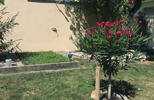 Wolschwiller House | MAISON DES 3 FRONTIÈRES