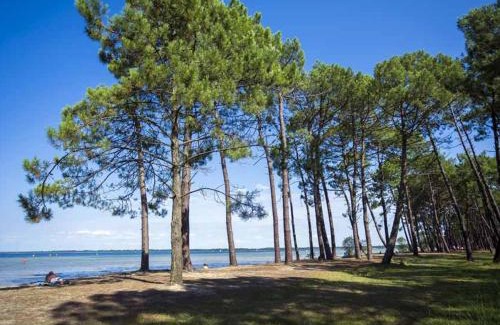 Parentis-en-Born House | Maison familiale, 15 pers., jardin privé, proche centre et lac, à 25 min de l'océan - FR-1-319-472