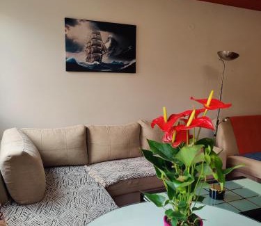 Bistrica Apartment | Maja Apartment