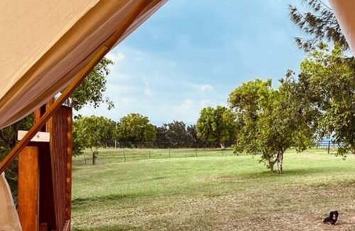 Hawi RV Rental | Maluhia · Cozy Bell Tent On Hawi Nani Ranch