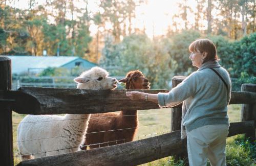 Peachester House | Mango Hill Farm