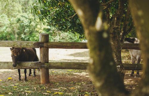 Peachester House | Mango Hill Farm