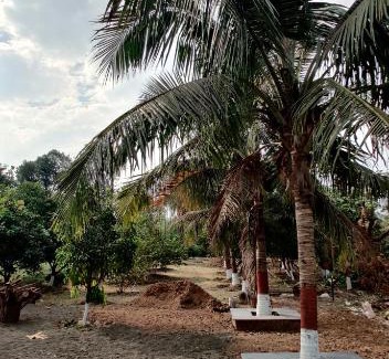 Karjat House | Manisha farm