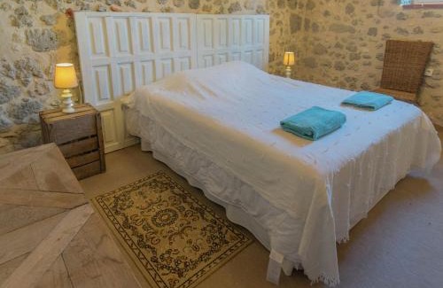 Fargues-sur-Ourbise House | Mansion in Fargues with Pool and Garden
