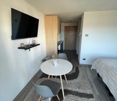Concepcion Apartment | Maravilloso Depto. Estudio 1D1B