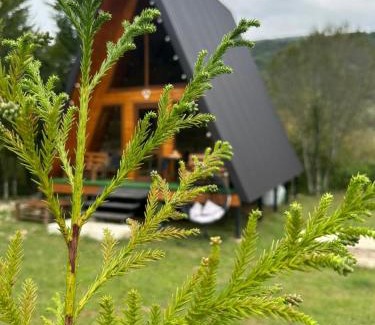 Salkhino Villa | Martvili canyon cottage Love nest