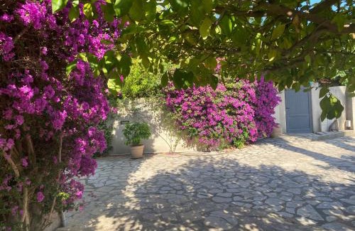 Argeles-sur-Mer Villa | Mas Catalan avec piscine 12 à 15 personnes