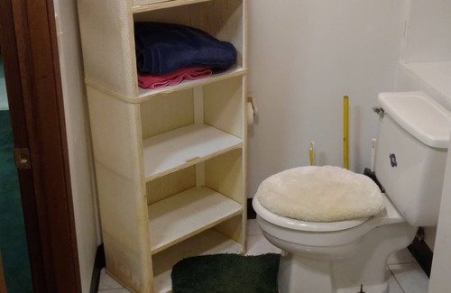 Minneapolis House | Master suite in basement of single family home.