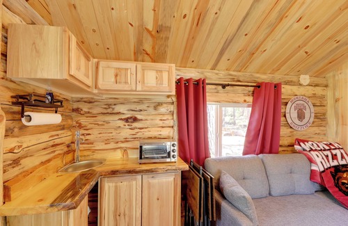 Marion Cabin | McGregor Lake Access: Cabin in Wooded Wilderness