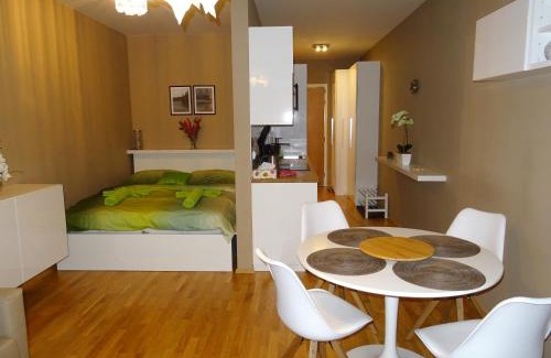 Spindleruv Mlyn Apartment | Medvědín Apartmán 106
