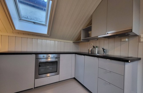 Trondheim House | Mercury House, Cathedral View! Free parking!