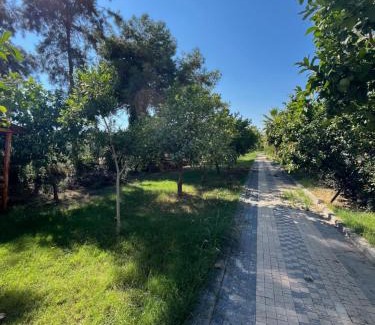 Kargıpınarı Hotel | Mersin Panorama Otel