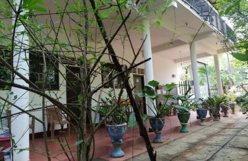 Anuradhapura House | Methsitha Rest Rooms Anuradhapura