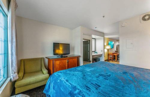 Tempe Apartment | Metro Extended Stays - Tempe King
