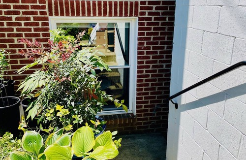 Central Northeast Apartment | Metro! Sunny Big 2 Bdrm w/King Bed & Dog Friendly