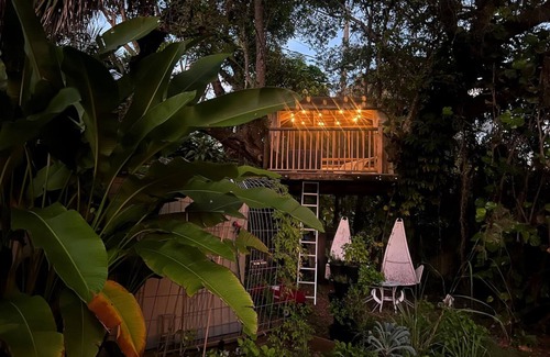 El Portal House | Miami Pool Cottage in El Portal