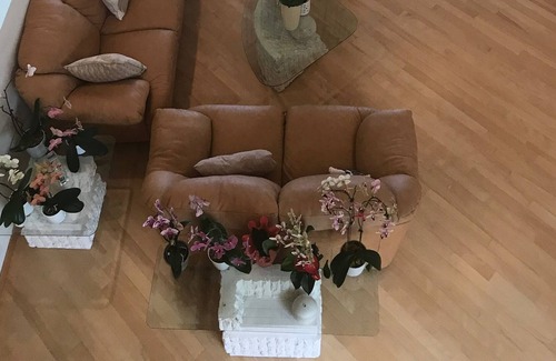 Fox Point House | Michigan Lake Front House 15 min to Milwaukee downtown!