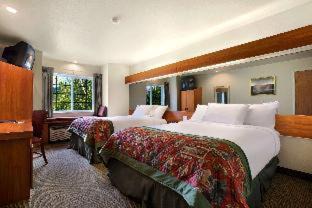 Bozeman Hotel | Microtel Inn & Suites by Wyndham Bozeman