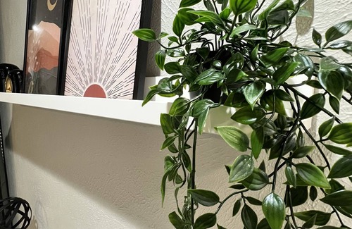 Oak Cliff Apartment | Mid-century designed Oak Cliff studio