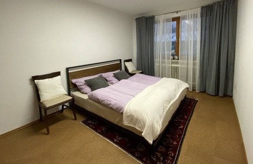 Schofweg Apartment | Middle in BAVARIAN FOREST - 95m² Apartment DIRECT on SKI-SLOPE with ! Netflix !