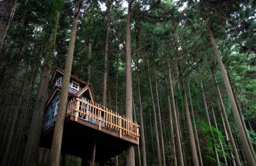 Uenohara Hotel | Mieux Forest