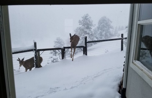 Golden Apartment | Million Dollar View Near Denver, Big West Skiing, and Countless Natural Wonders