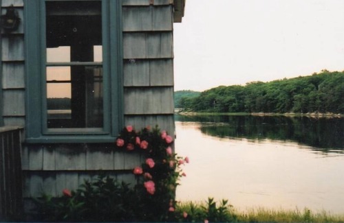 Phippsburg House | Millpond, Quiet, near Beach, fireplace, bird watching w. bird feeder, library
