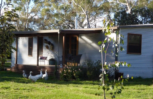 Millthorpe Cabin | Millthorpe Parrots Nest - private rural retreat