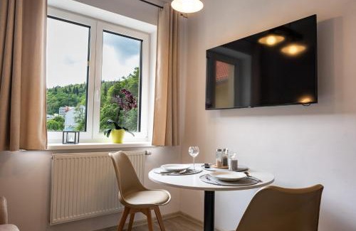 Jachymov Apartment | Miner's Lodge