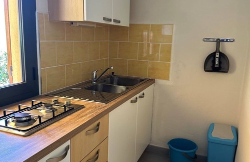 Tarcu House | Mini-villa with pool (2 to 4 people) - Accommodation 1544175