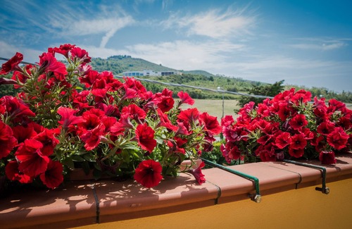 Agropoli Apartment | MINIAAPPARTAMENTO BETWEEN SEA AND NATURE