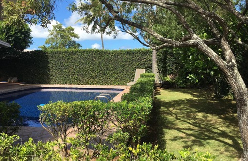 Keolu Hills House | MINUTES TO KAILUA BEACH-FABULOUS POOL great indoor/outdoor living