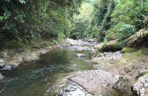 Pereira House | Mirador Las Marcadas