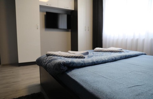Baile Felix Apartment | Misha