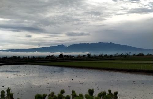 Probolinggo House | Misran Homestay