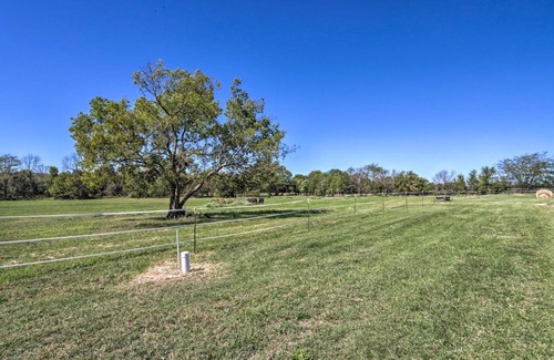 Buffalo House | Missouri Getaway with Pasture Views and Patio!