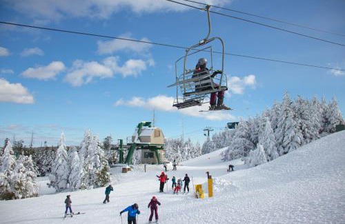 Snowshoe House | ML148 Corner Unit Fireplace WiFi Parking Connects To ML150 Rented Separately