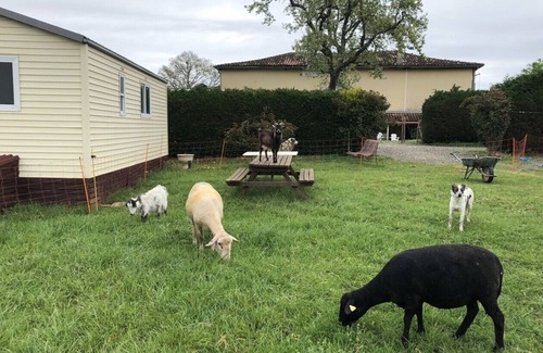 Tourtouse House | Mobile Home au Ranch du Bonheur, Évasion à la Ferme