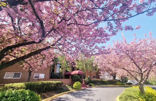 Elkins Park Apartment | Modern 1BR Retreat in Elkins Park Monthly Discount