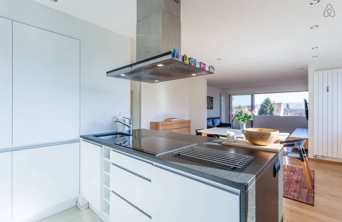 Saint-Louis Apartment | Modern apartment 5 minutes from Basel (BASEL)