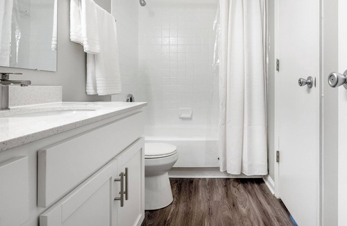 Charlotte Apartment | Modern Apartment in Prime Location (ID1380X259)