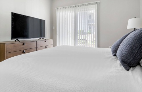 Charlotte Apartment | Modern Apartment in Prime Location (ID1380X259)