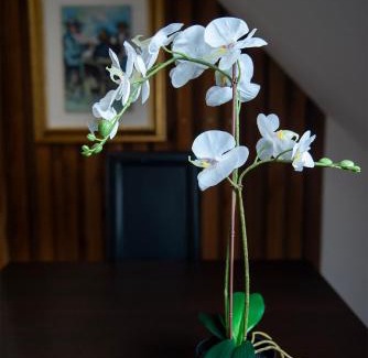 Courroux Apartment | Modern Appartement