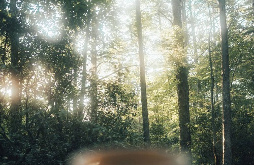 Sautee Nacoochee Cabin | Modern Boho Cabin - Romantic Couples Getaway - Luxury Tub - 5mi from Helen