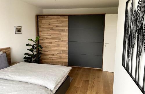 Neustadt an der Weinstrasse Apartment | Modernes City-Apartment