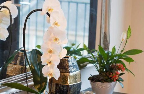 Glasgow Westend Apartment | Modern Finneston City View Apartment