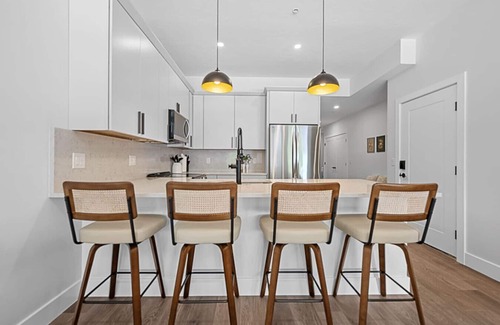 Central Business District Apartment | Modern Luxe Downtown Apartment- Near DCU Center, Universities, & Hospitals