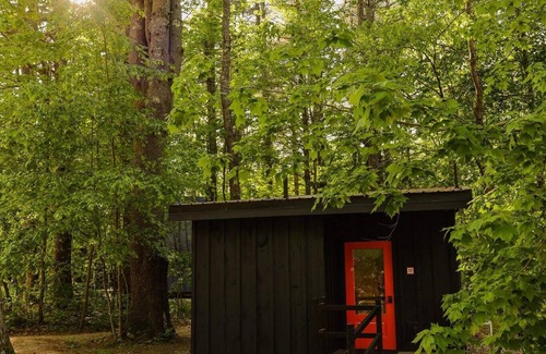 Freeport Cabin | Modern, Luxurious, Cabin in the Woods - 17 (ADA)